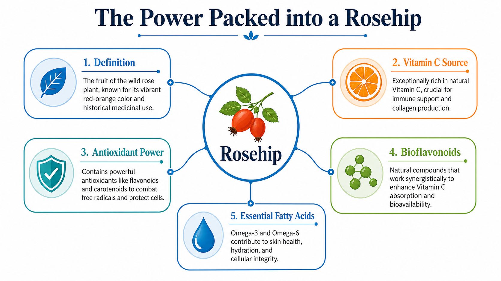 An infographic titled The Power Packed into a Rosehip detailing five health benefits and properties of rosehips.