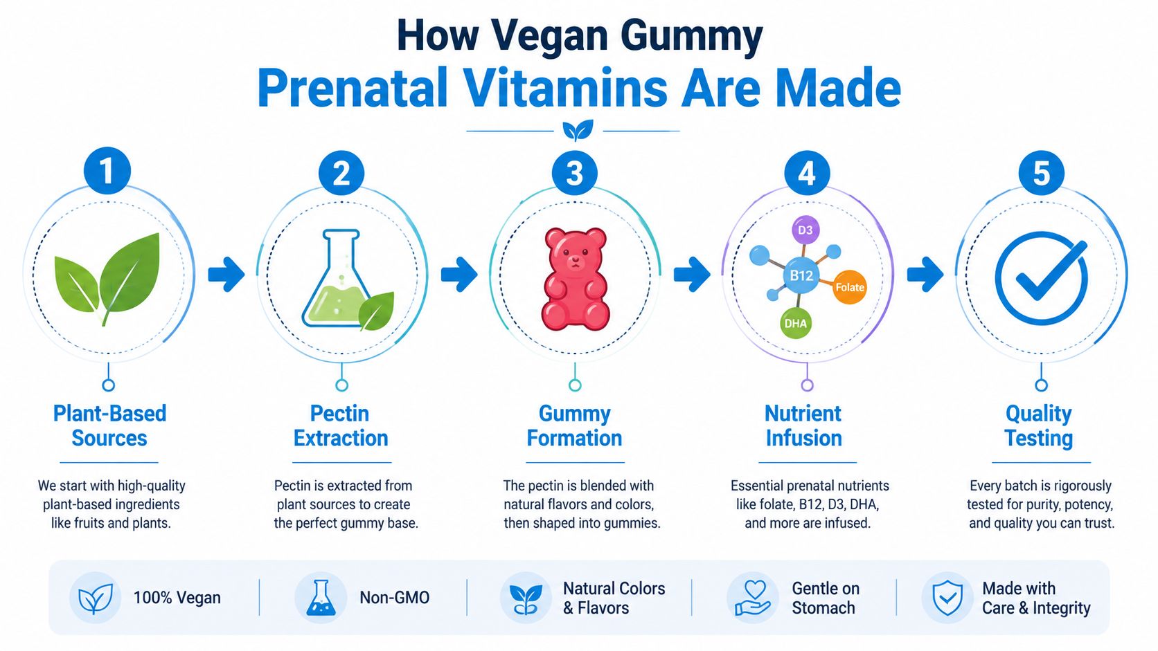 A five-step infographic showing the production process of vegan gummy prenatal vitamins from sourcing to quality testing.
