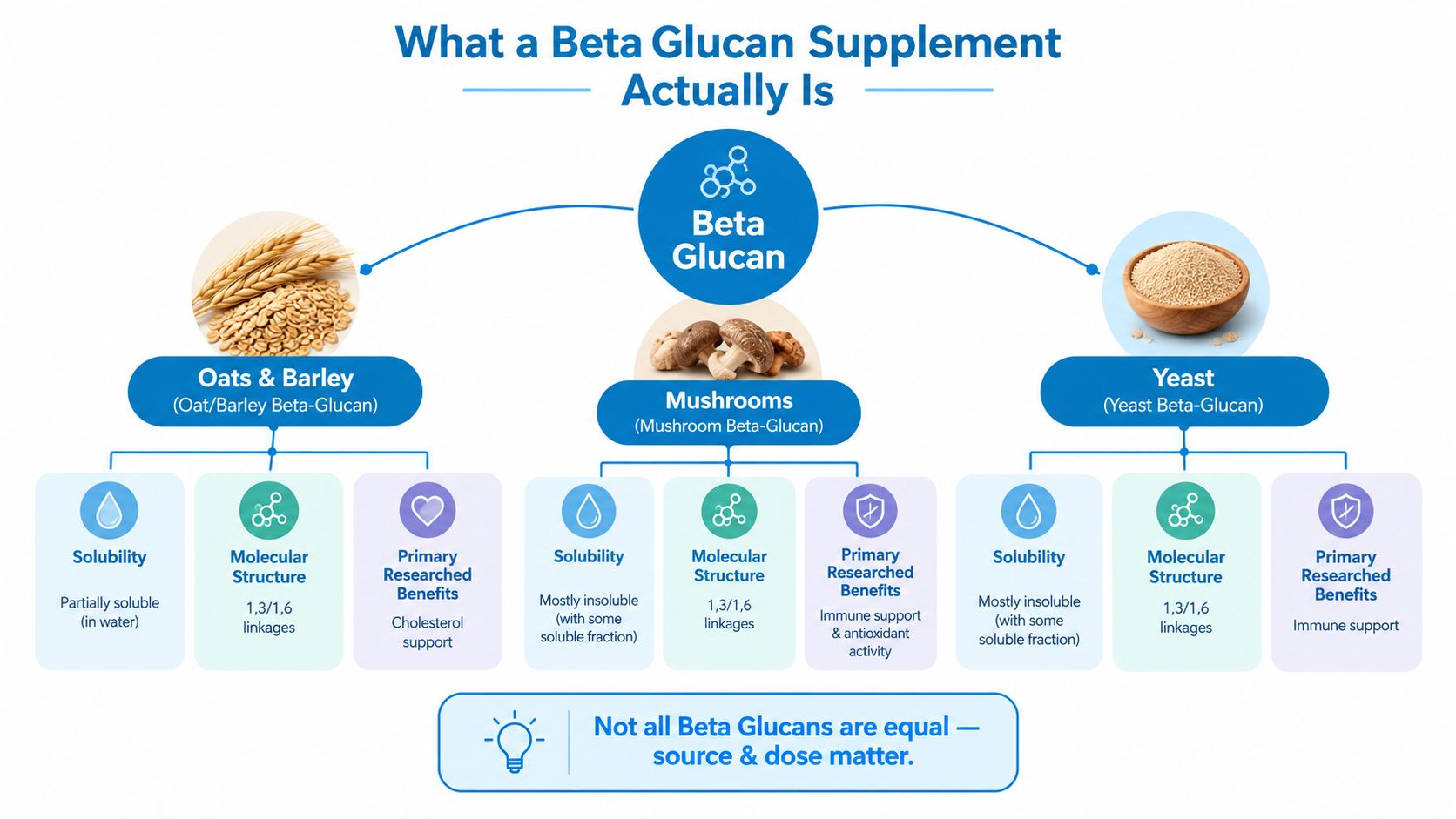 A diagram comparing beta glucan supplements from oats, barley, mushrooms, and yeast with their specific health benefits.