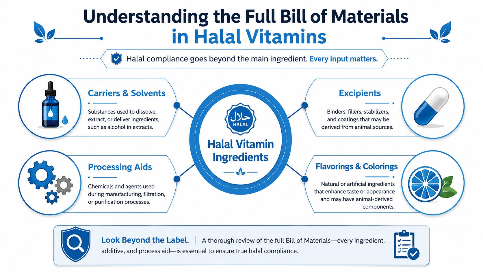 An infographic titled Understanding the Full Bill of Materials in Halal Vitamins showing key ingredient categories.