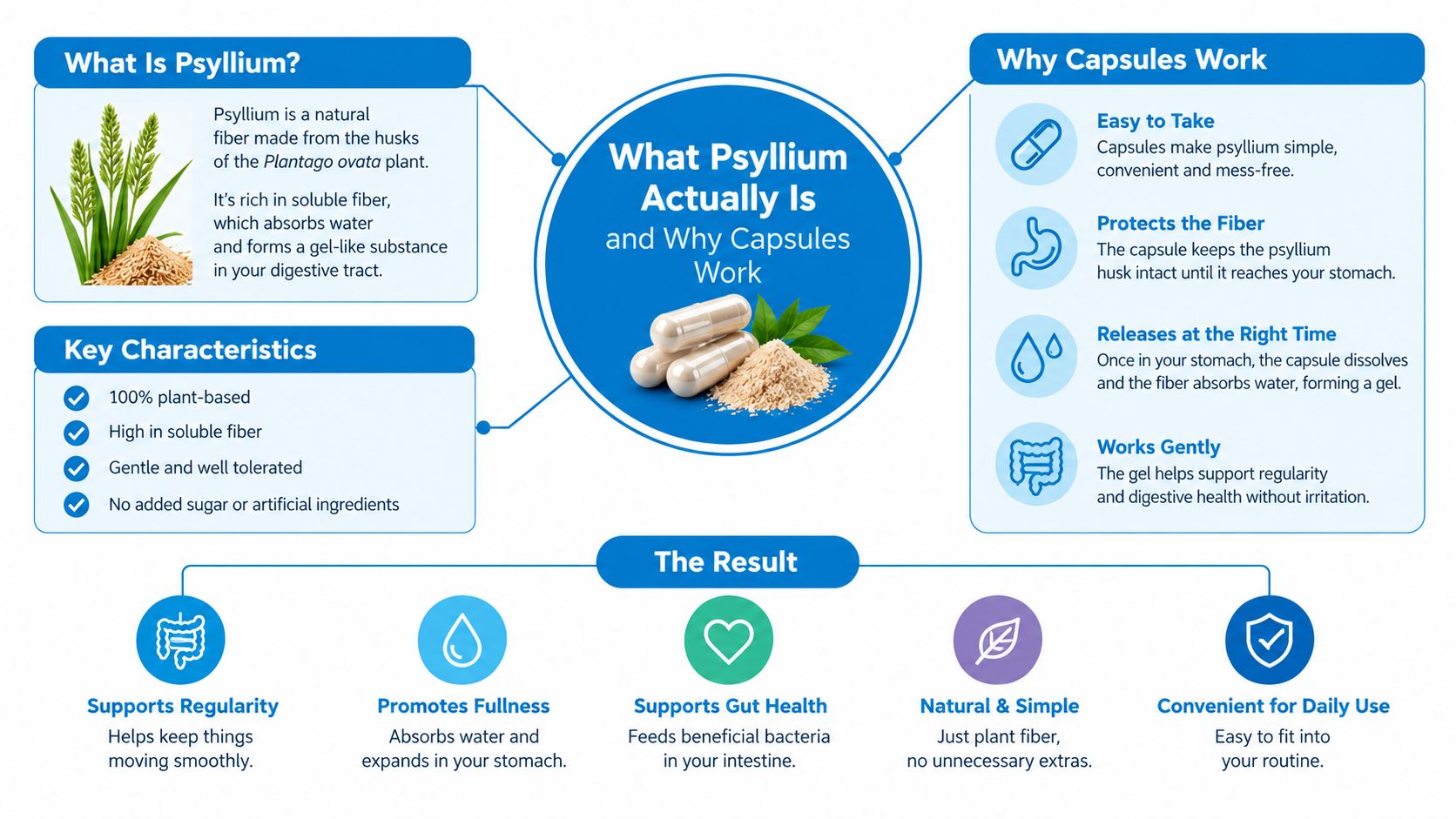 An infographic detailing the health benefits and functional advantages of taking psyllium husk fiber in capsule form.
