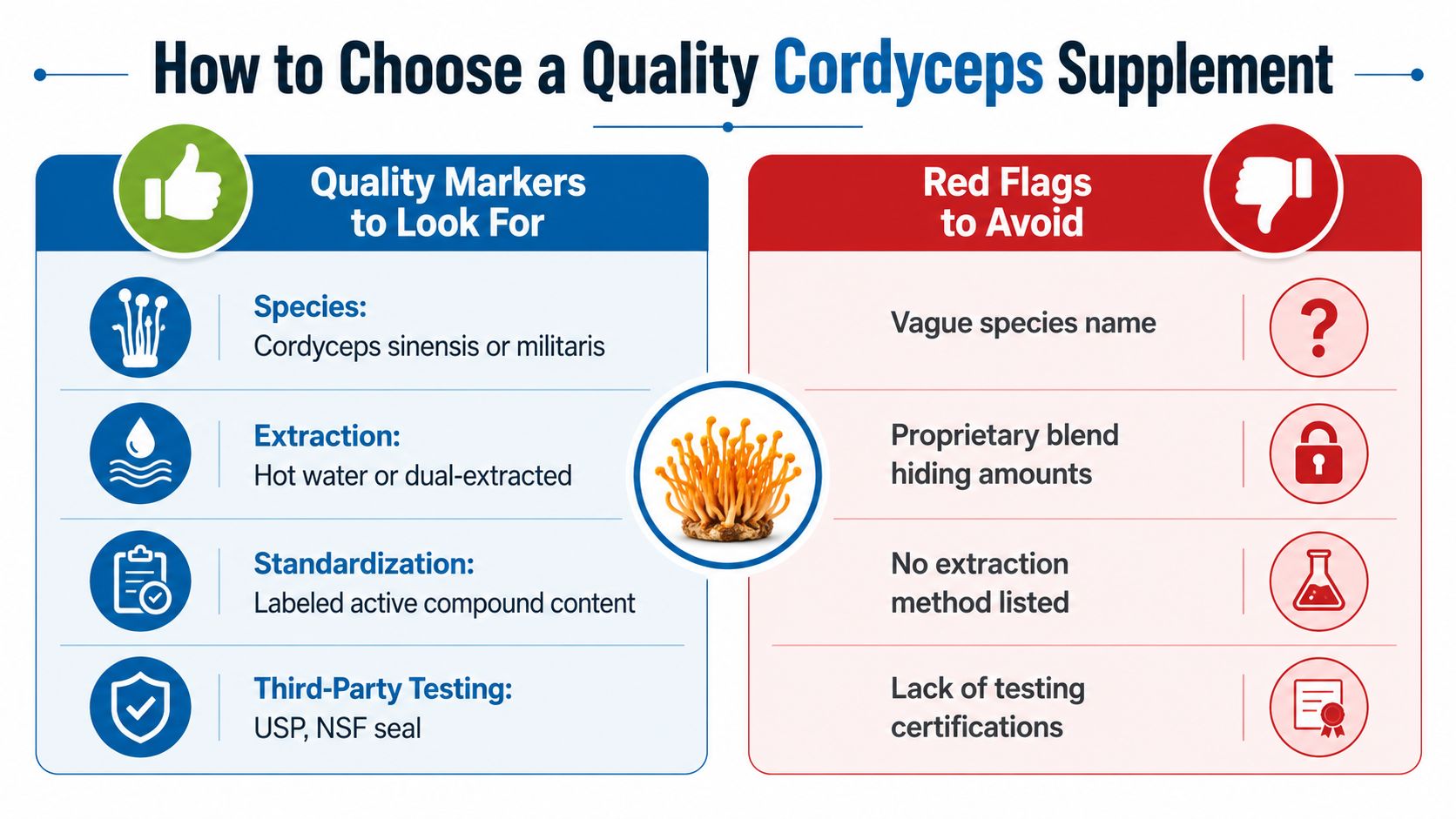 A helpful infographic comparing quality markers to look for and red flags to avoid when buying cordyceps supplements.