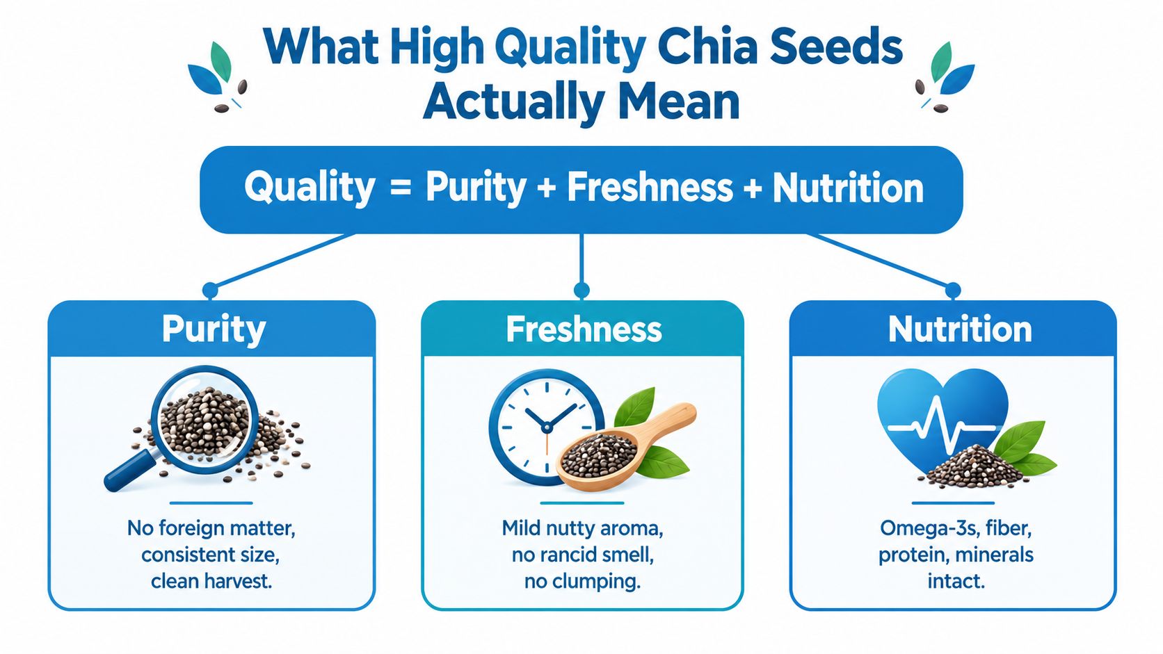 An infographic showing that high-quality chia seeds are defined by their purity, freshness, and nutrient content.