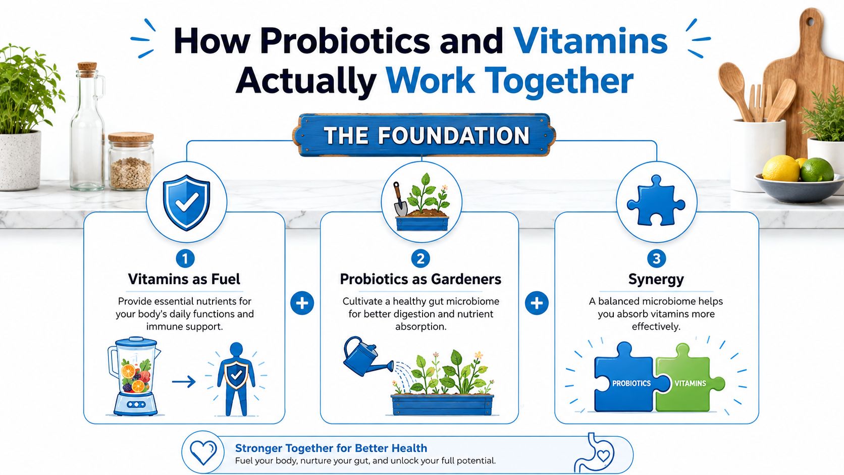 An infographic illustrating how probiotics and vitamins work together to support gut health and nutrient absorption.
