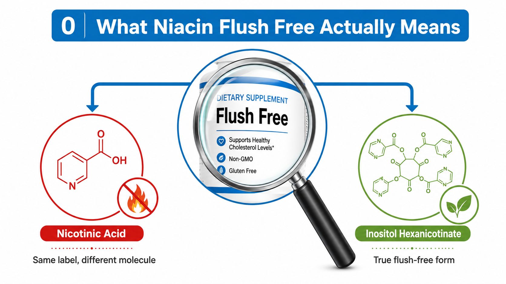 An infographic illustrating the difference between nicotinic acid and inositol hexanicotinate in flush-free niacin supplements.