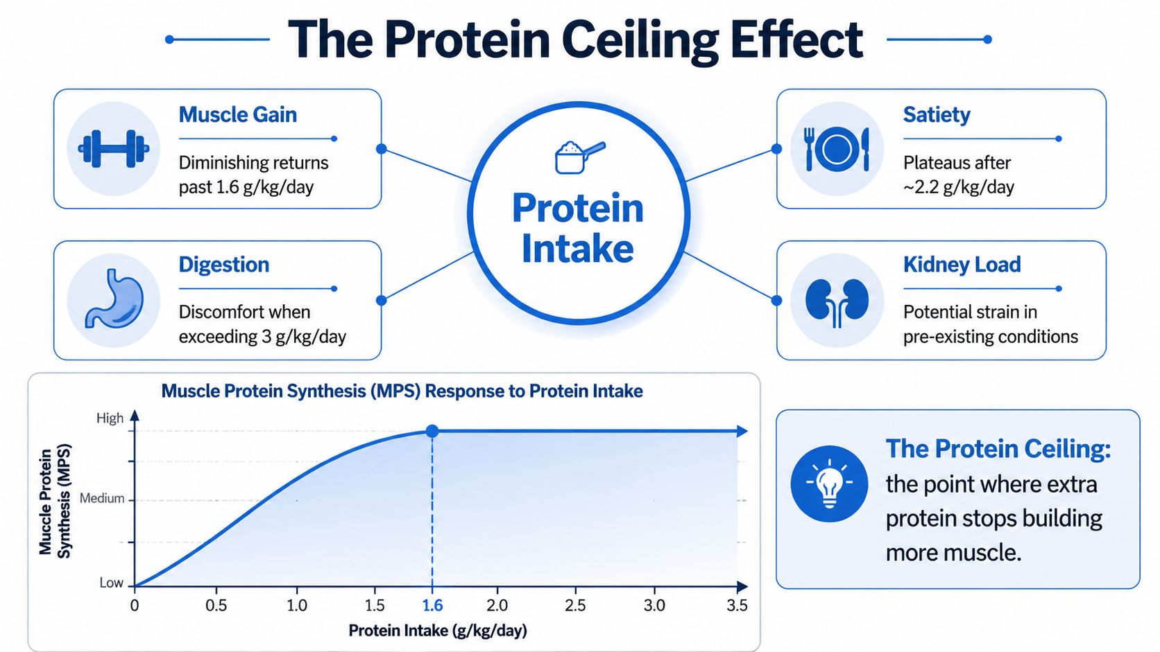 An infographic showing the protein ceiling effect and its impact on muscle growth, satiety, and digestion.