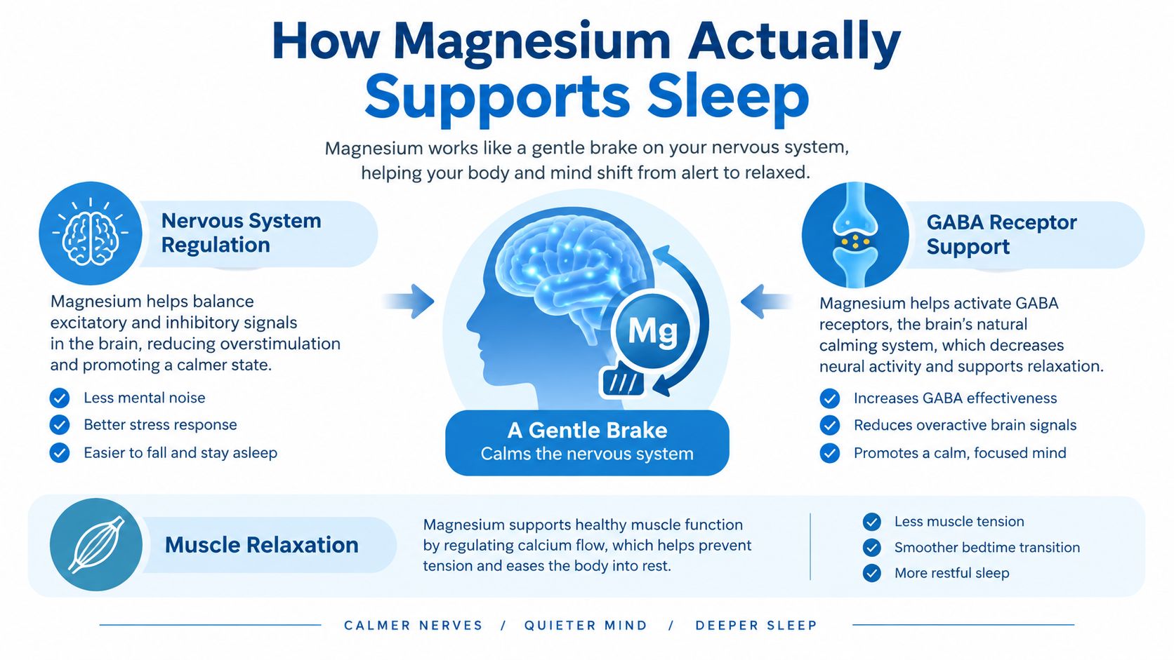 An infographic showing how magnesium helps the body and mind transition to sleep by relaxing the nervous system.