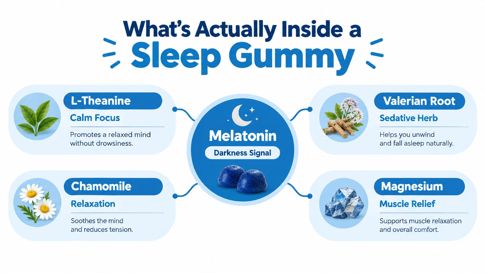 An educational infographic explaining the common natural ingredients found in sleep support gummies, including melatonin, magnesium, and herbs.