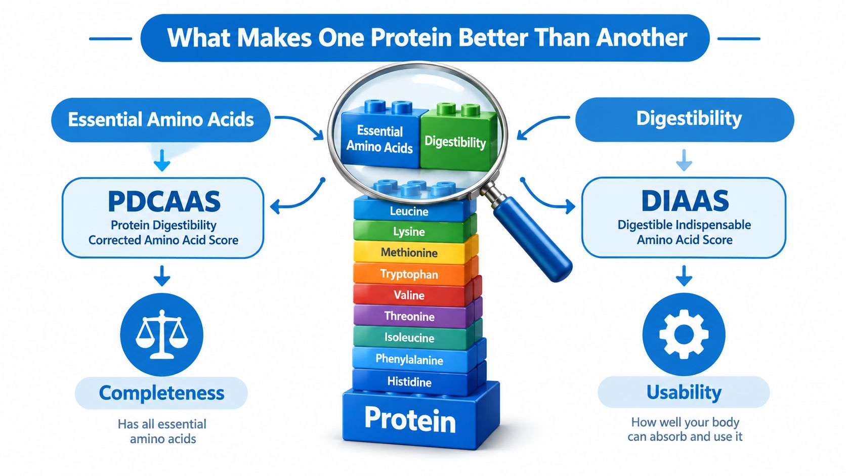 A diagram explaining factors that determine protein quality including essential amino acids, digestibility, PDCAAS, and DIAAS scores.