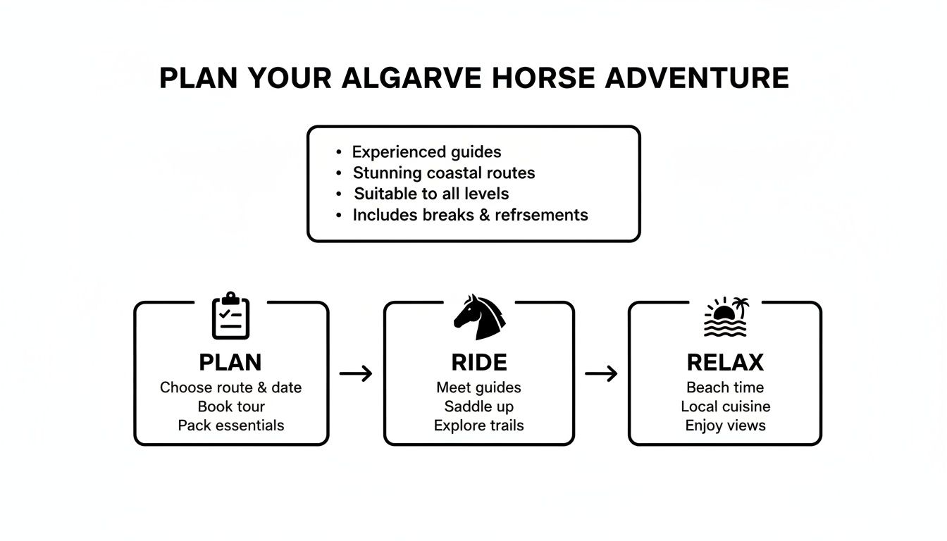 A flowchart detailing the steps to plan, ride, and relax on an Algarve horse adventure, including features.