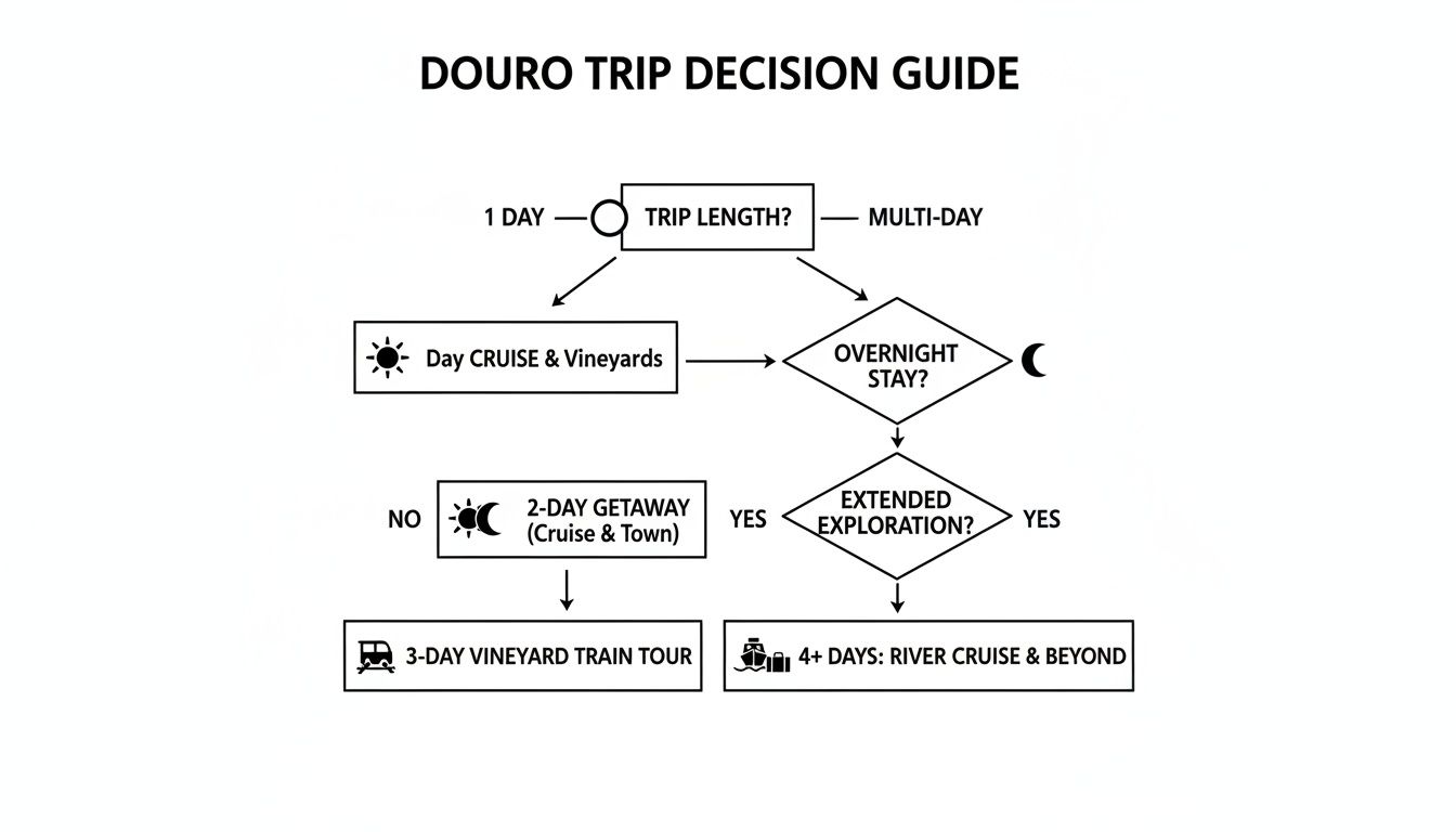 A flowchart detailing Douro Valley trip options based on length and desire for overnight stays.