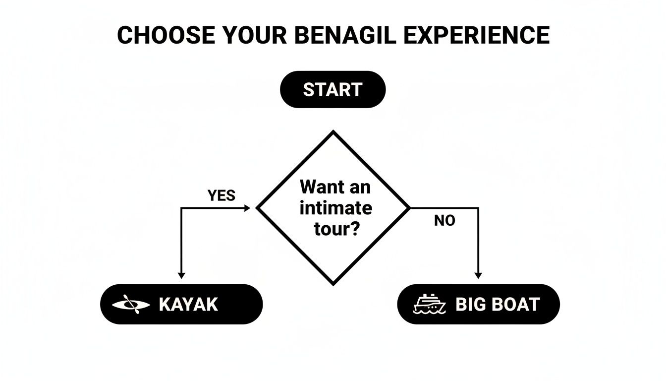 Flowchart guiding Benagil tour choice: kayak for intimate tours, big boat otherwise.