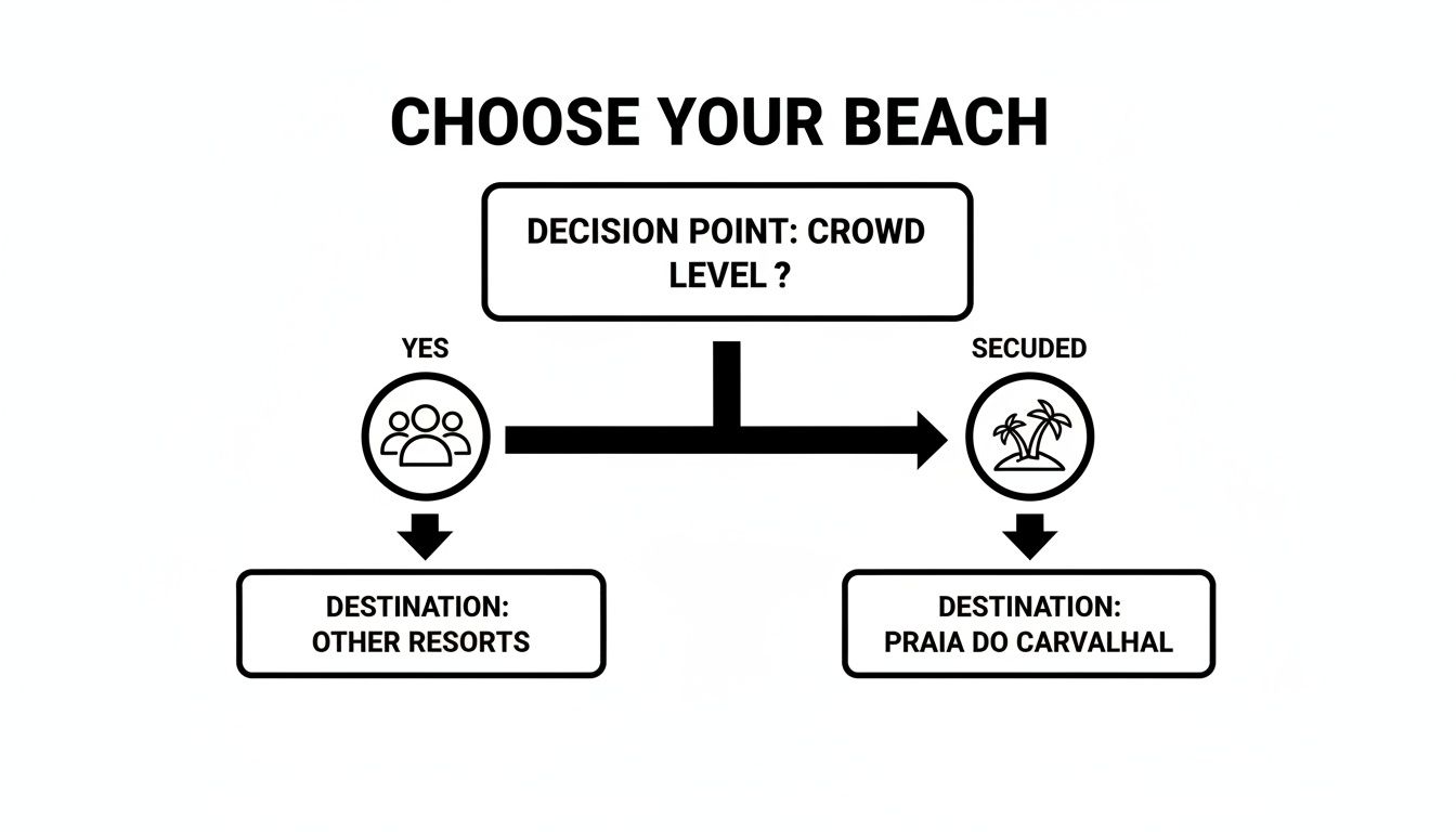 Flowchart for choosing a beach based on crowd level, showing options for crowded resorts or secluded Praia do Carvalhal.