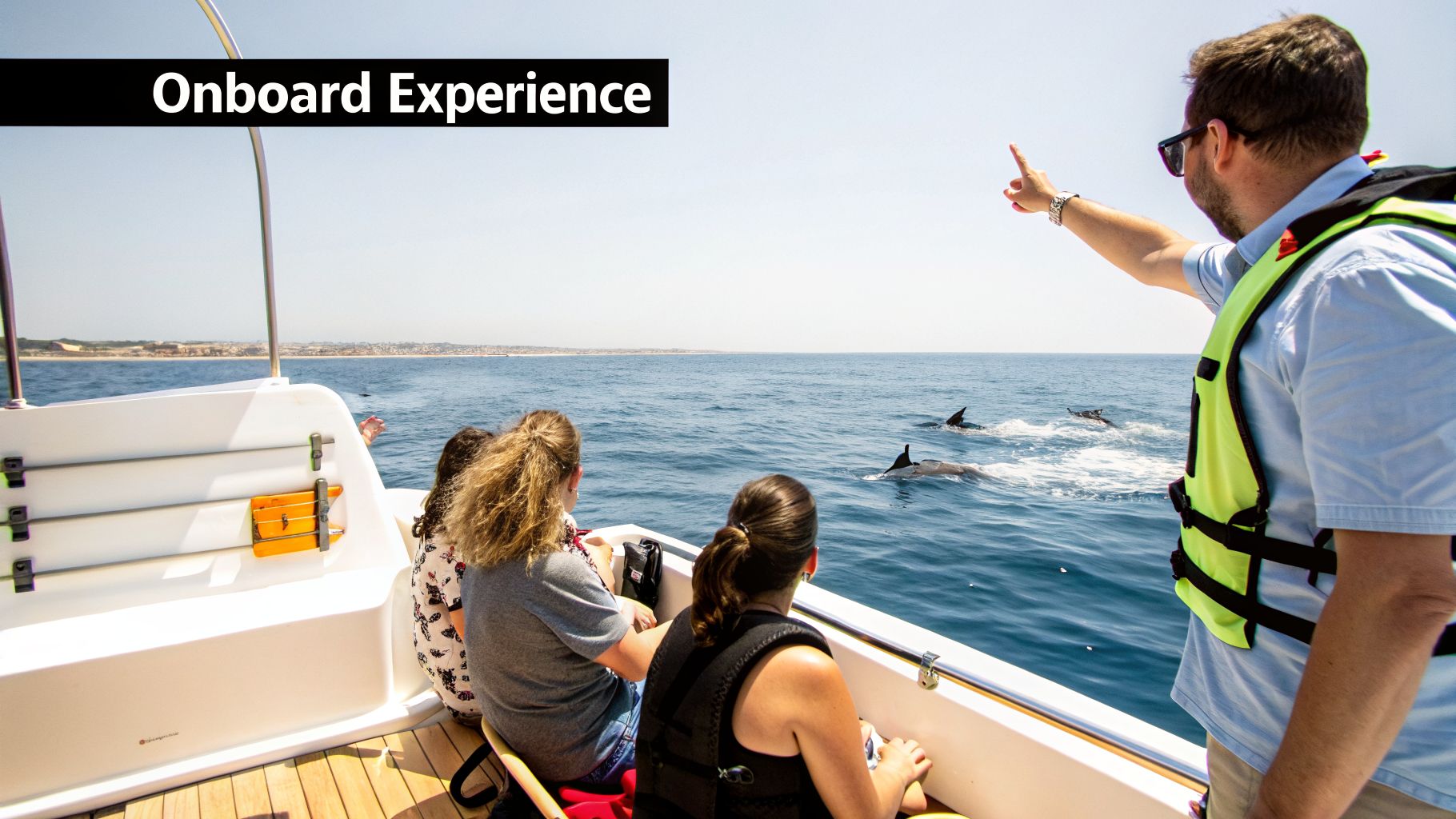 People on a boat happily watching multiple dolphins swim and jump in the ocean on a sunny day.
