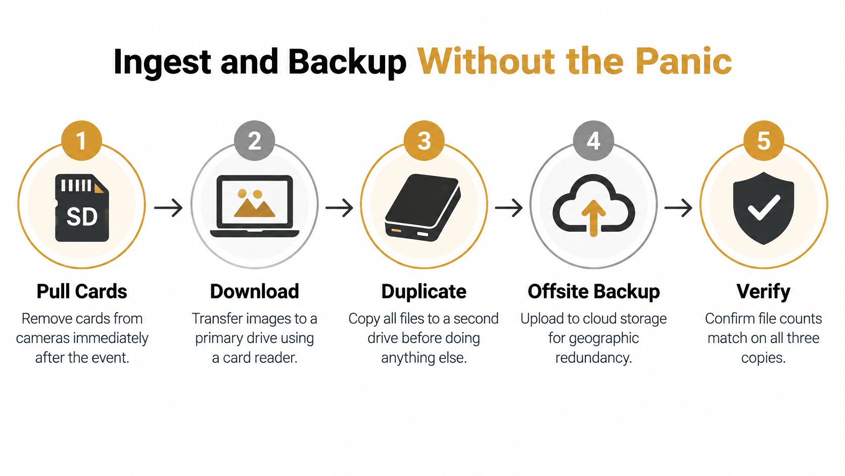 A five-step infographic showing a professional photographer's data backup workflow, from pulling SD cards to verifying final copies.