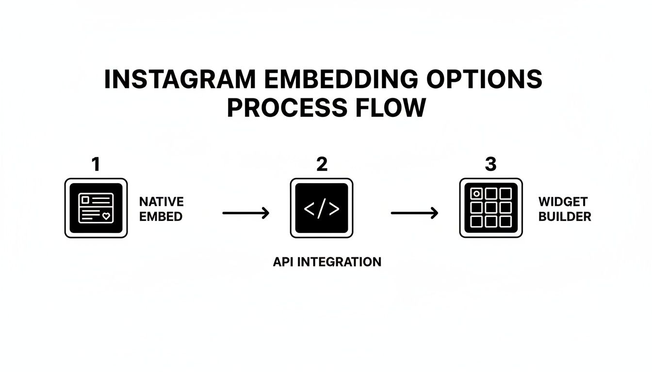 A diagram illustrates three Instagram embedding options: Native Embed, API Integration, and Widget Builder process flow.