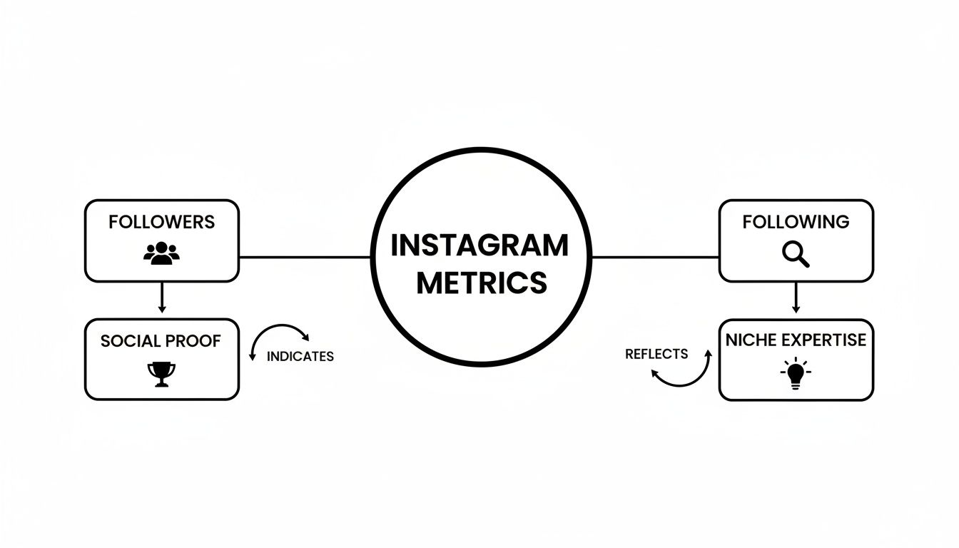 A diagram illustrating Instagram metrics, showing followers indicating social proof and following reflecting niche expertise.