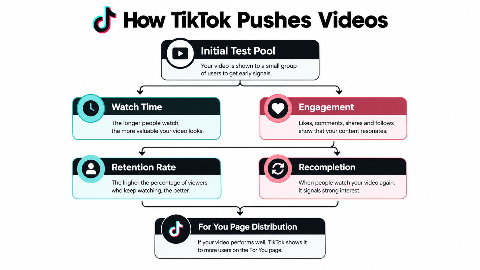 A flow chart illustrating the TikTok algorithm process, from initial testing to broad For You page distribution.