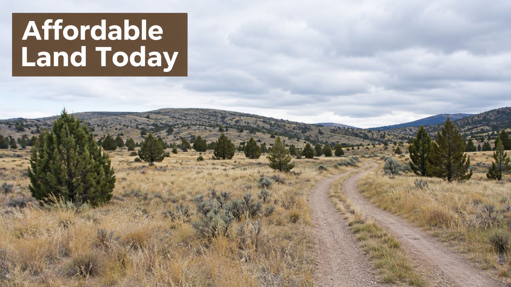 A dirt road winds through dry, grassy fields with scattered juniper trees under a cloudy sky.