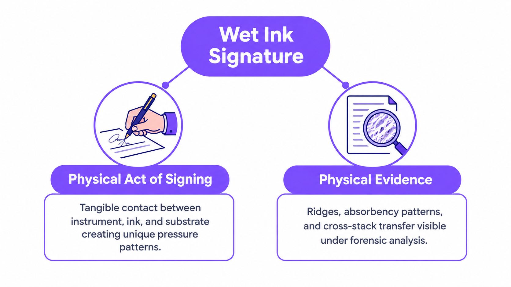 An infographic titled Wet Ink Signature showing the physical act of signing and resulting physical evidence.