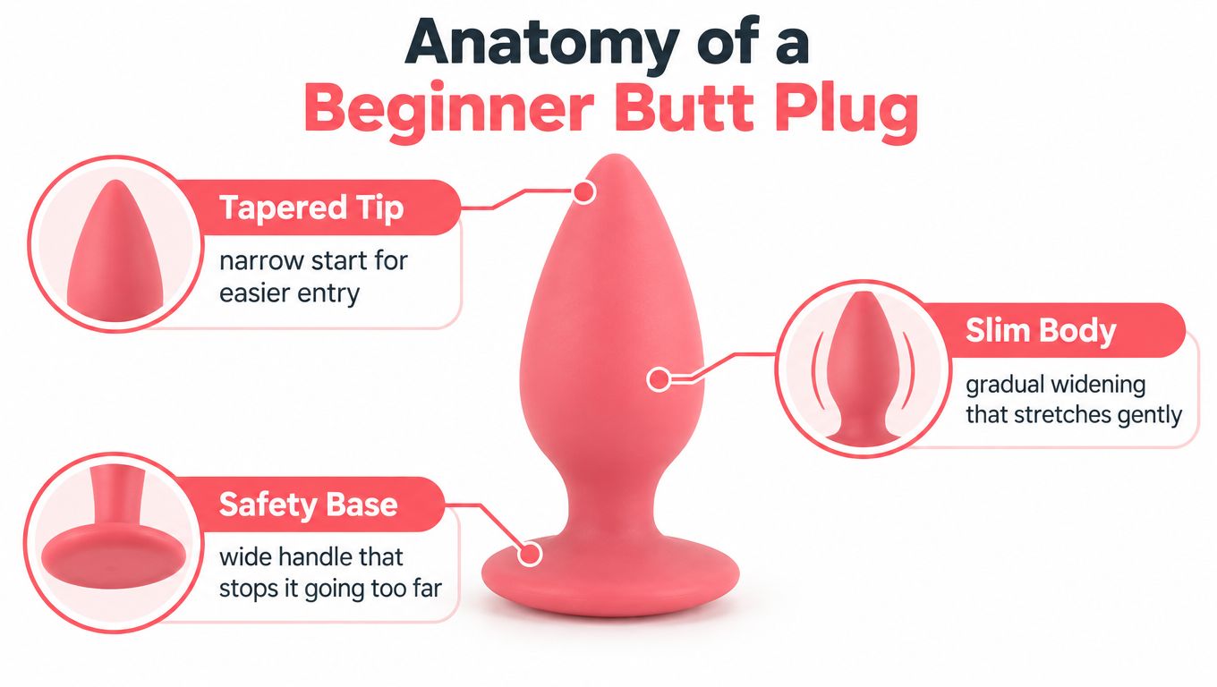 An educational diagram labeled Anatomy of a Beginner Butt Plug showing a tapered tip, slim body, and safety base.