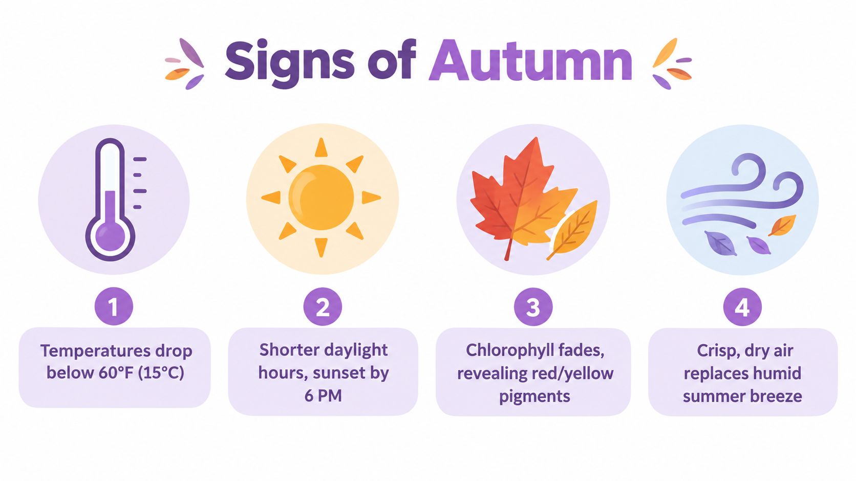 An infographic titled Signs of Autumn showing four numbered icons representing temperature drop, shorter days, falling leaves, and cooling air.