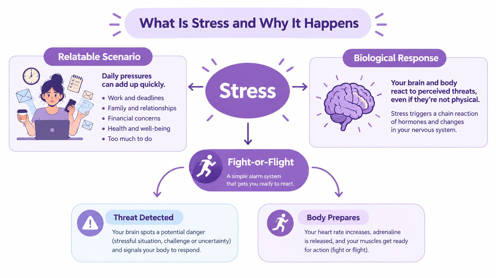 A diagram explaining the causes and biological effects of stress, including the fight-or-flight response mechanism.