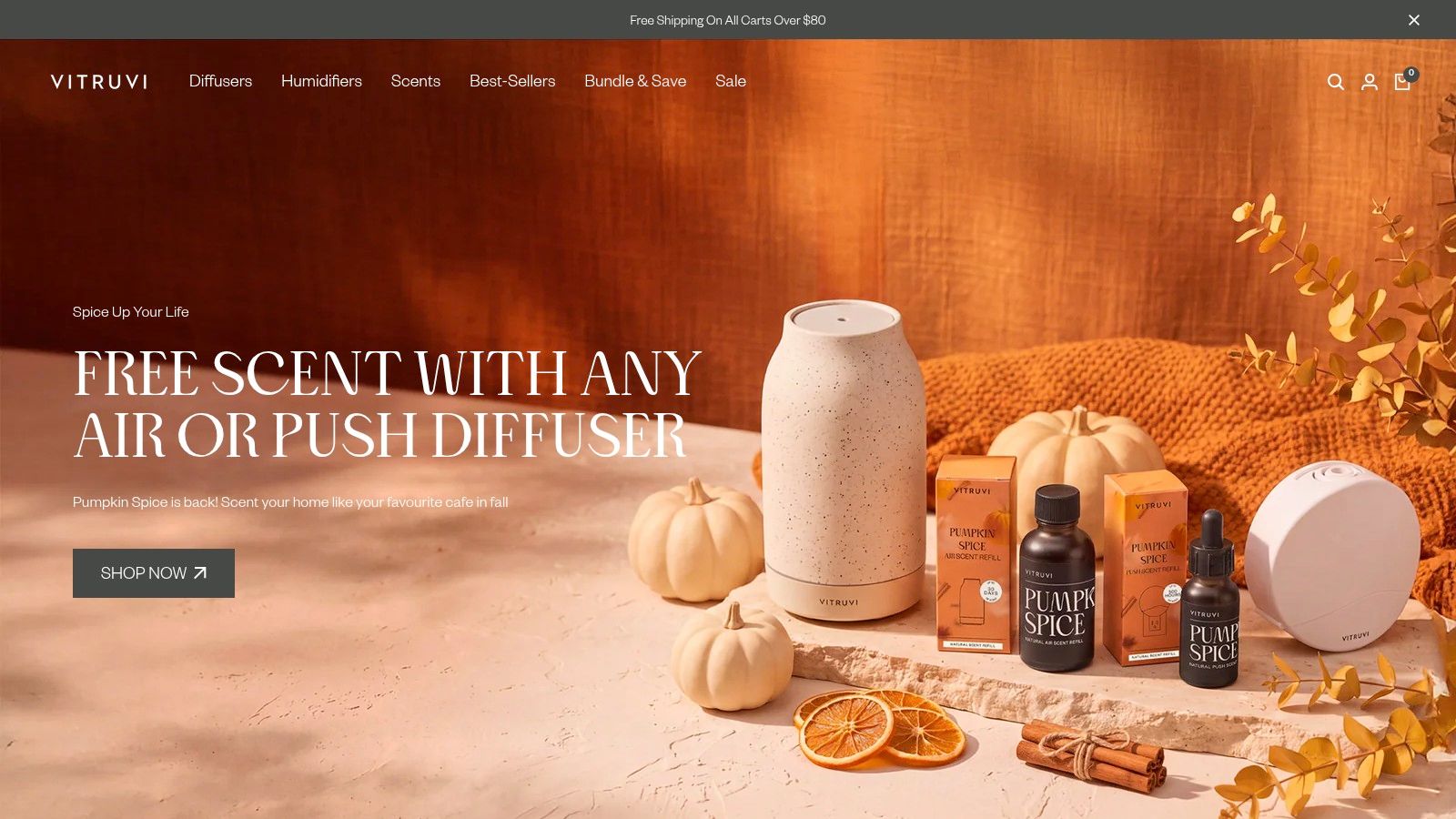 Vitruvi Stone Essential Oil Diffuser and Oils