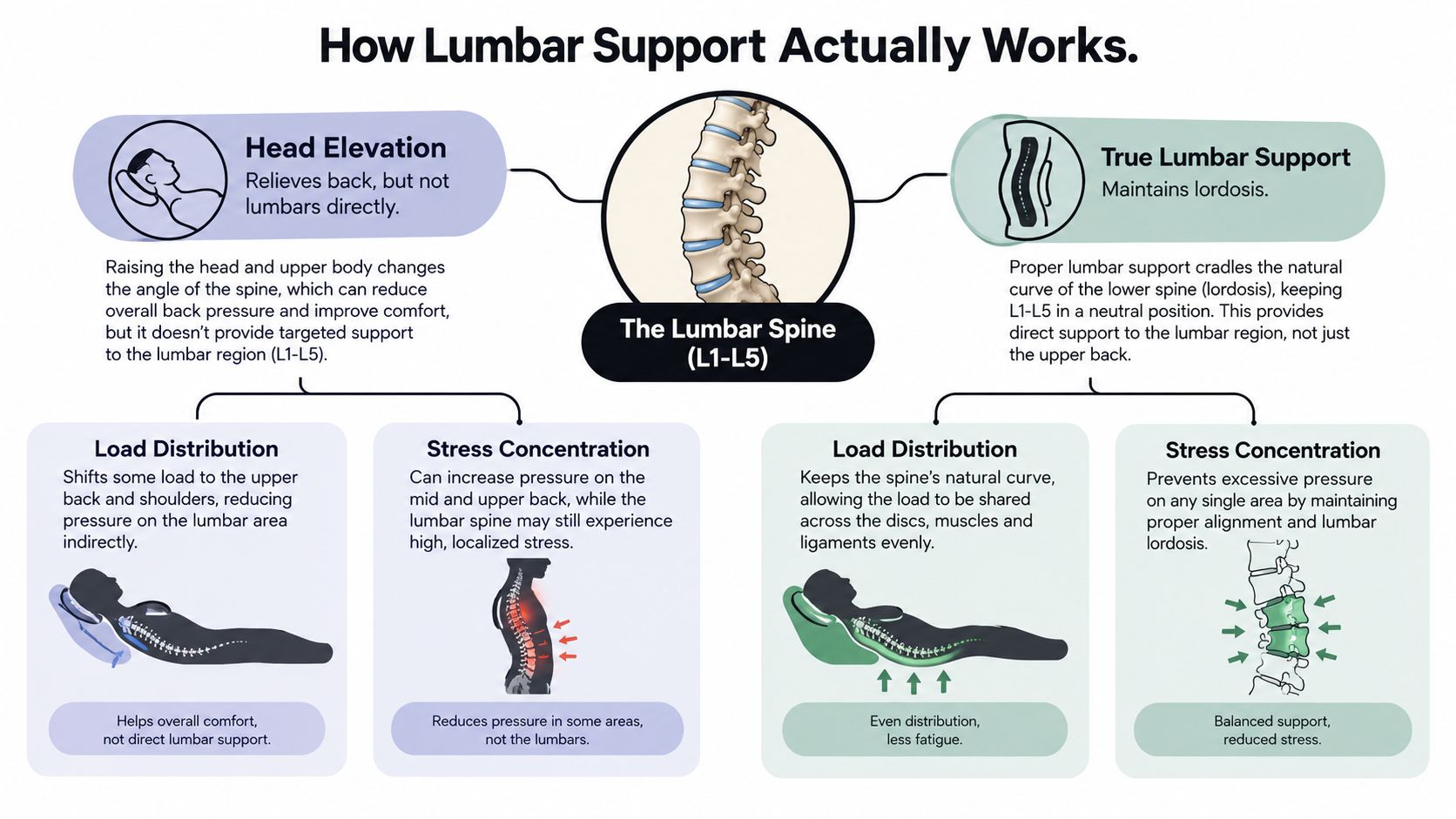 An infographic comparing the differences between head elevation and true lumbar support for back comfort.
