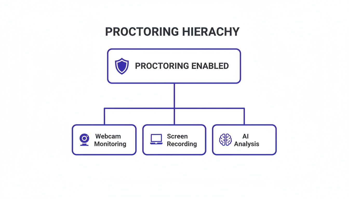 A hierarchy diagram showing proctoring enabled, with branches for webcam monitoring, screen recording, and AI analysis.