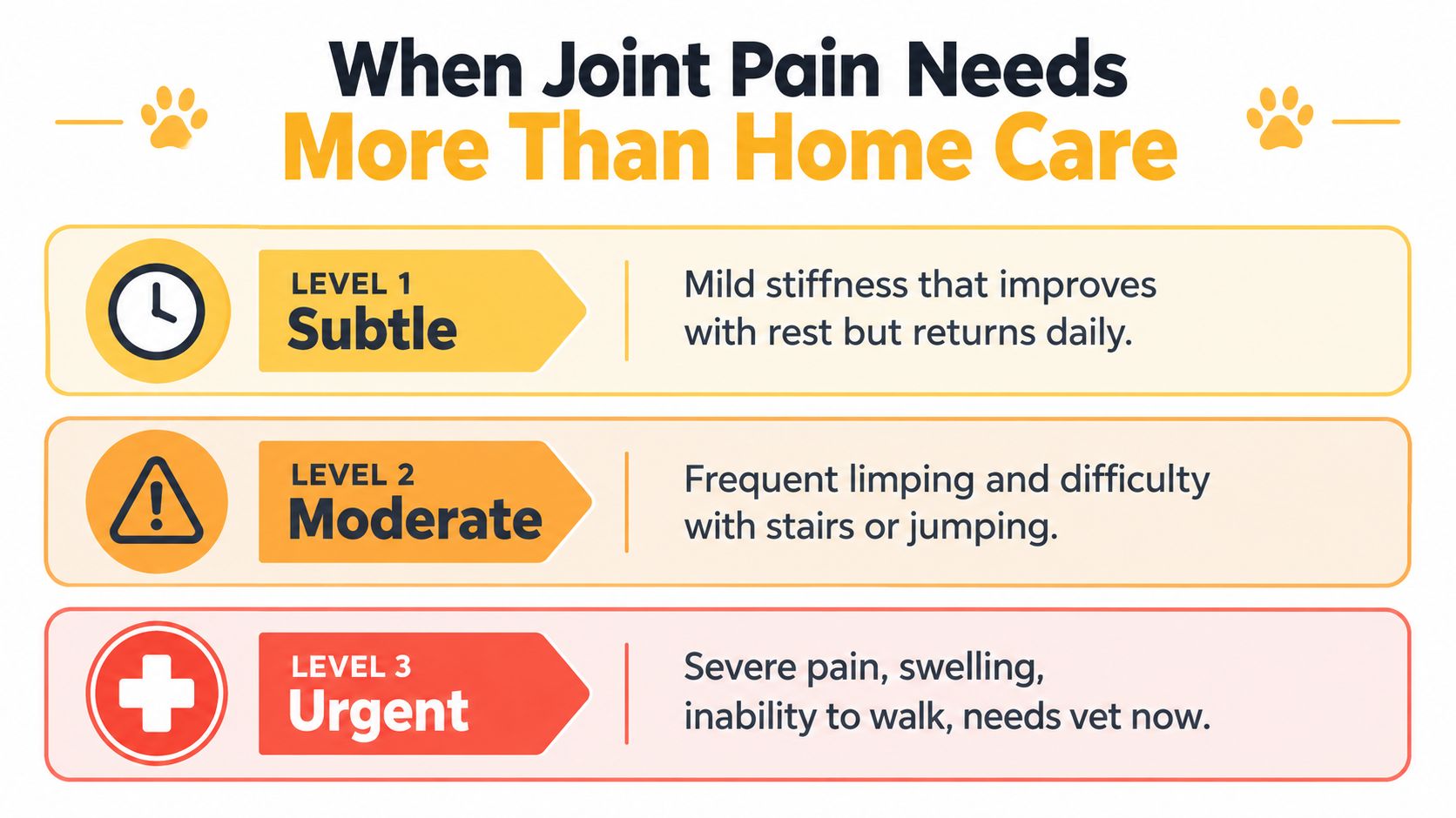 A visual guide classifying dog joint pain into three levels ranging from subtle to urgent care.
