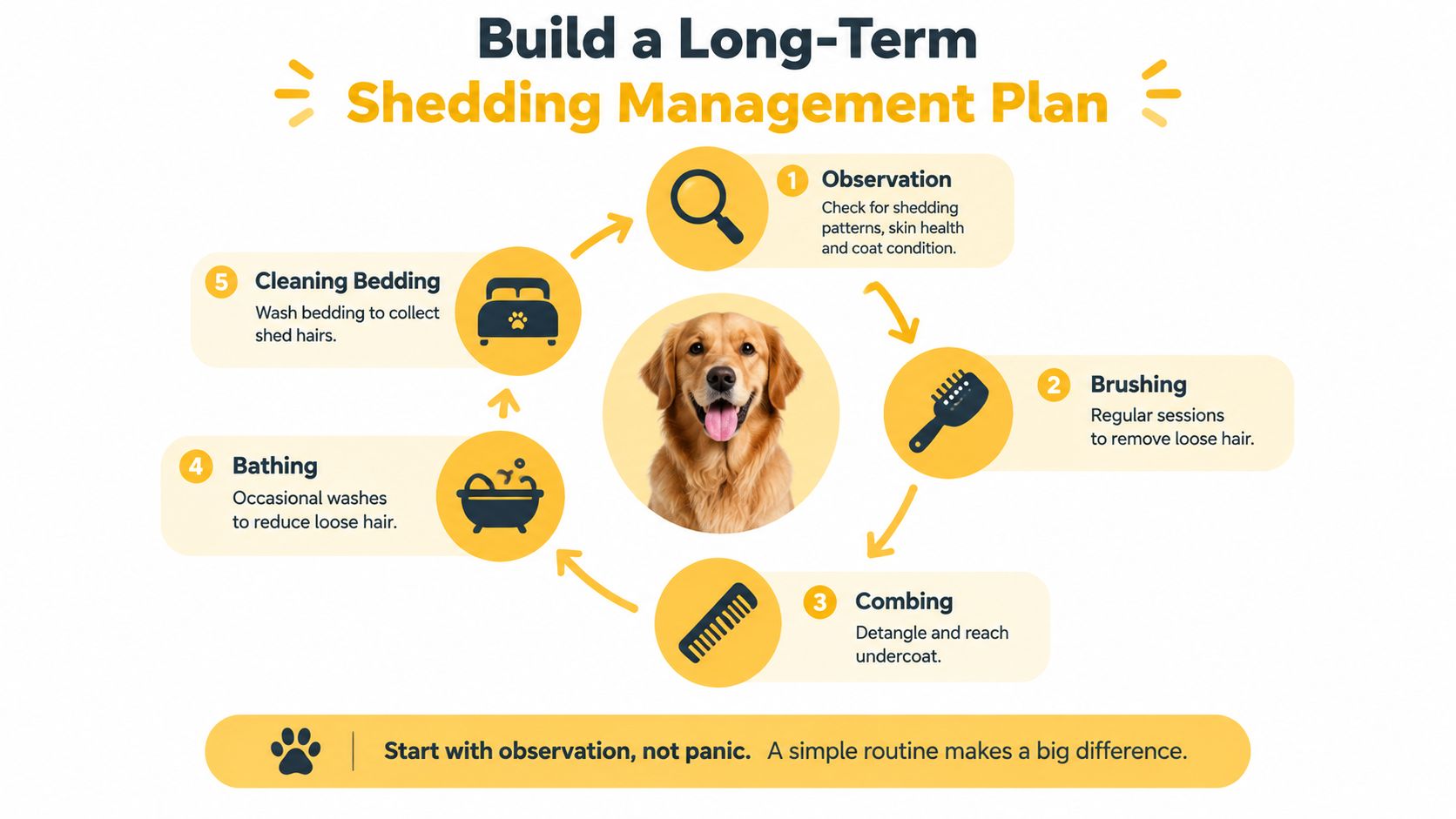 A five-step dog shedding management plan infographic featuring a golden retriever, grooming icons, and helpful maintenance tips.