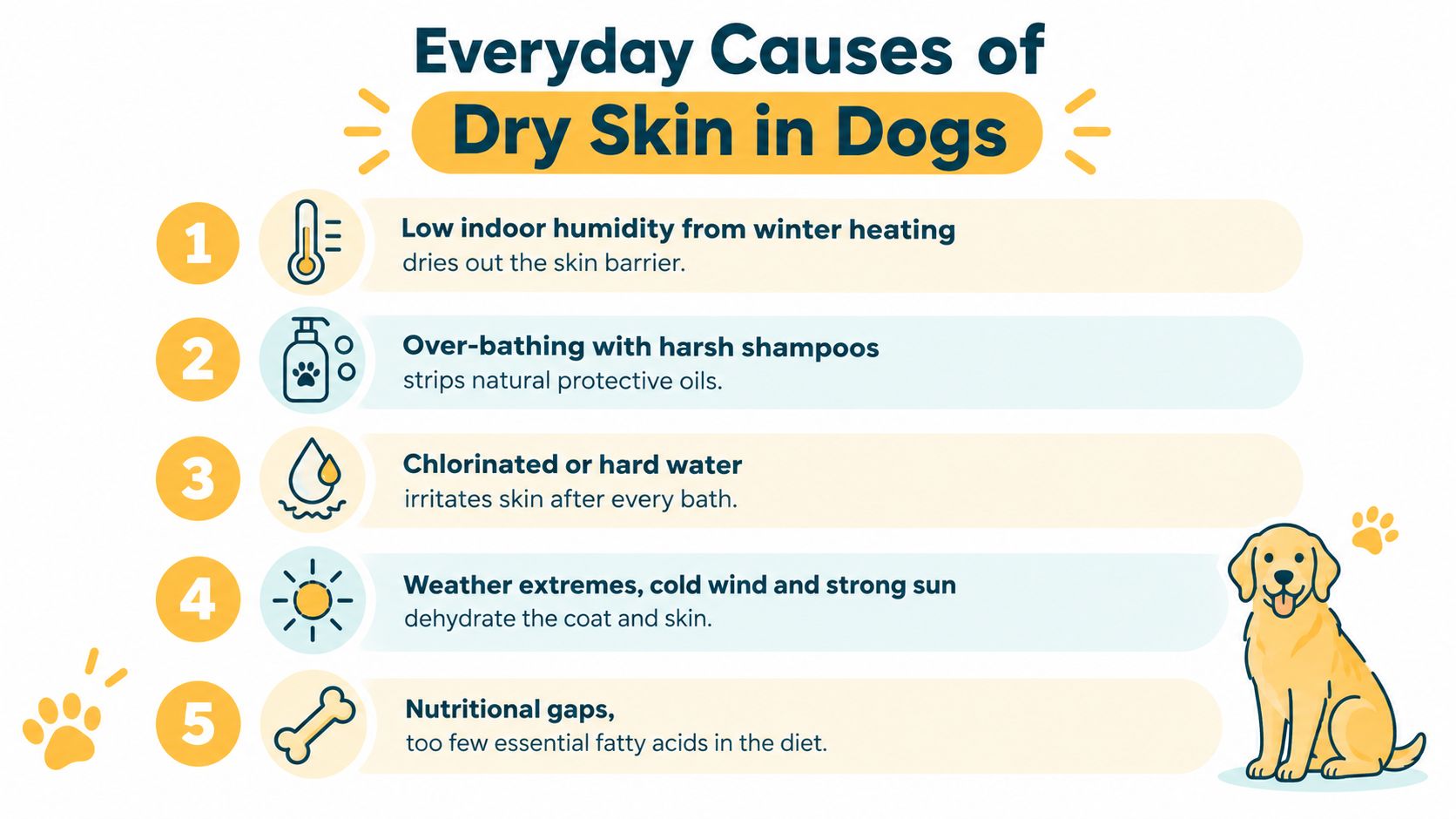 A helpful infographic listing five everyday causes of dry skin in dogs, including environment and diet.