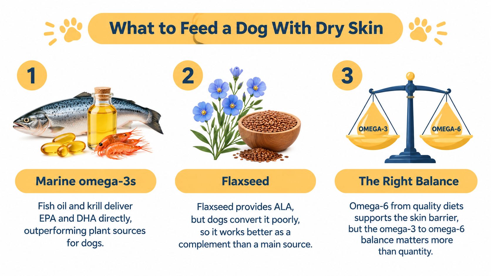 An infographic showing three nutritional tips to help improve dry skin in dogs, including supplements and balance.