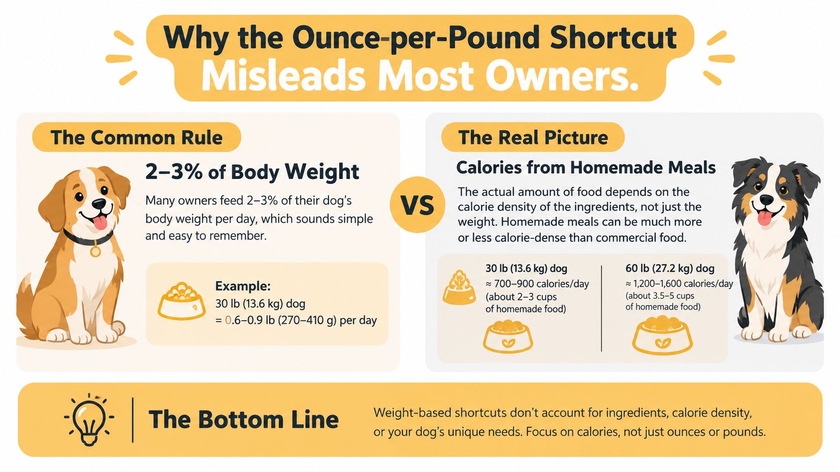 An infographic explaining why feeding dogs based on body weight percentage can be misleading for homemade meals.