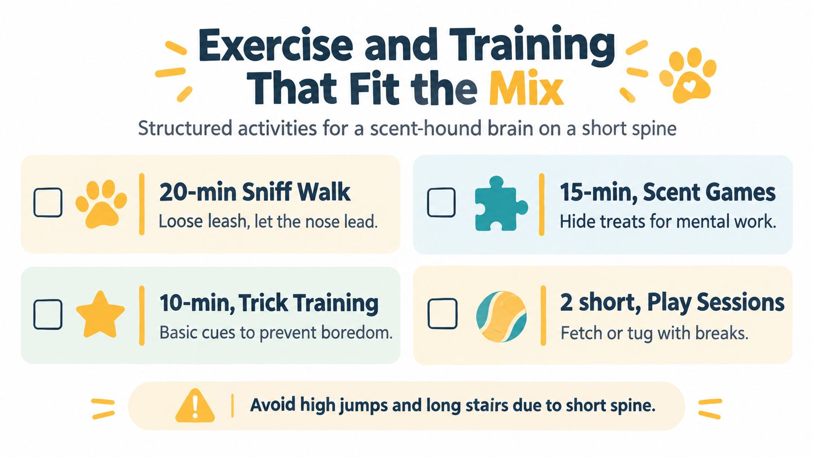 An infographic showing recommended daily exercise and training activities for a Corgi Bloodhound mix dog breed.
