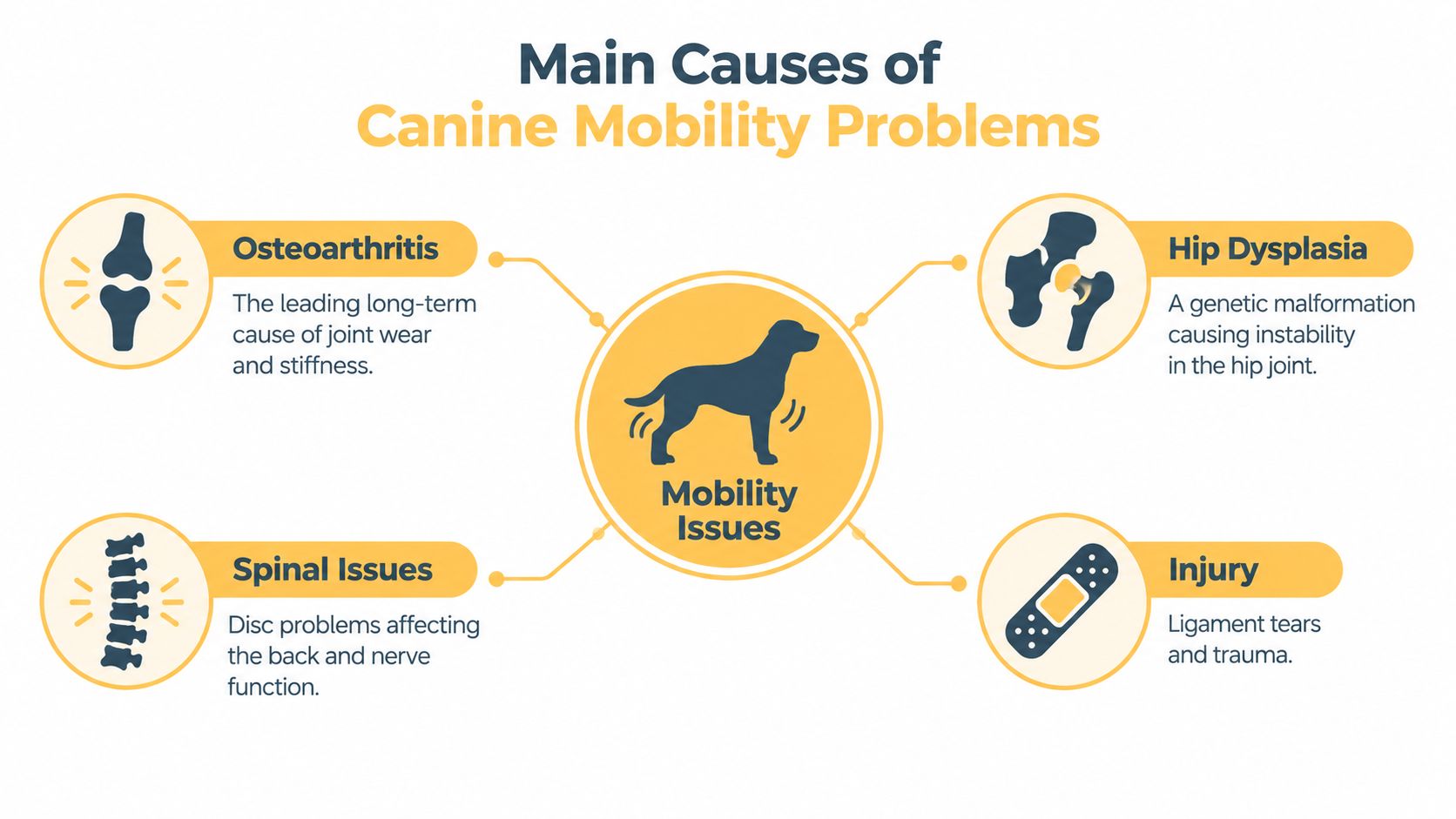 An educational infographic showing four common causes of canine mobility problems including osteoarthritis, hip dysplasia, and injury.