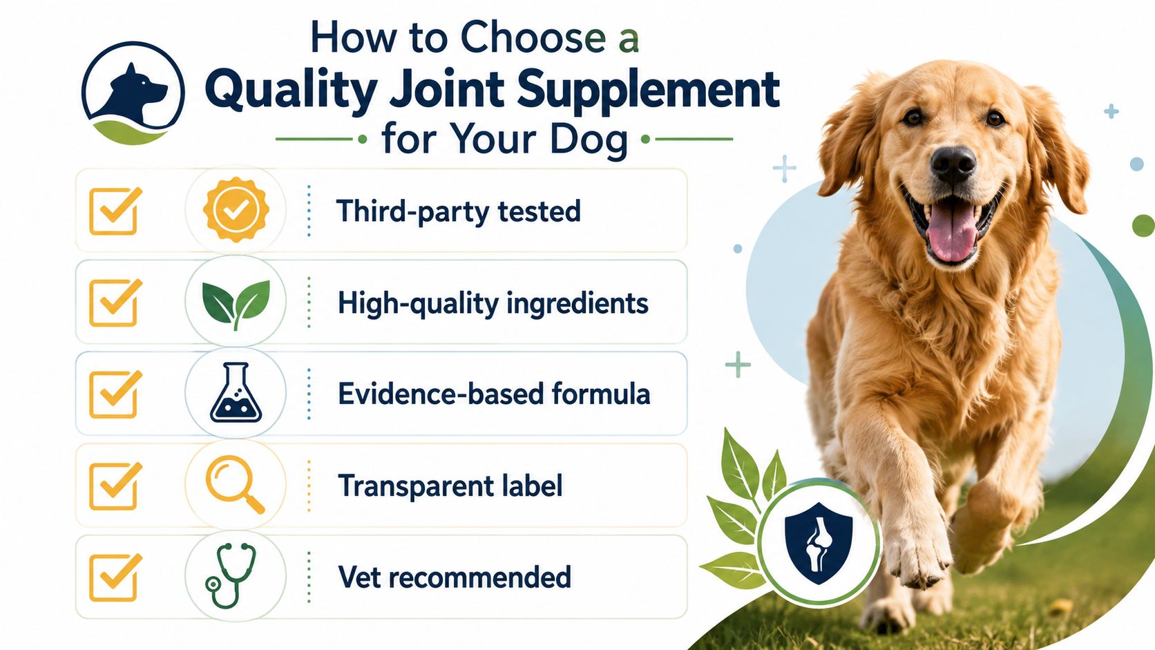An infographic showing five key criteria to consider when choosing a quality joint supplement for dogs.