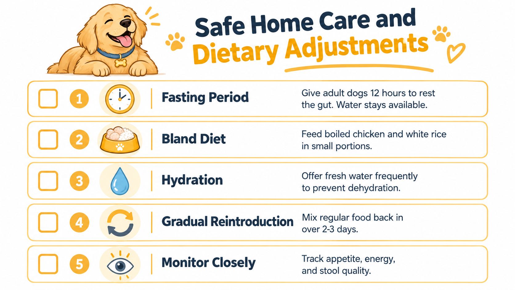 An infographic titled Safe Home Care and Dietary Adjustments offering tips for managing a dog's digestive health.