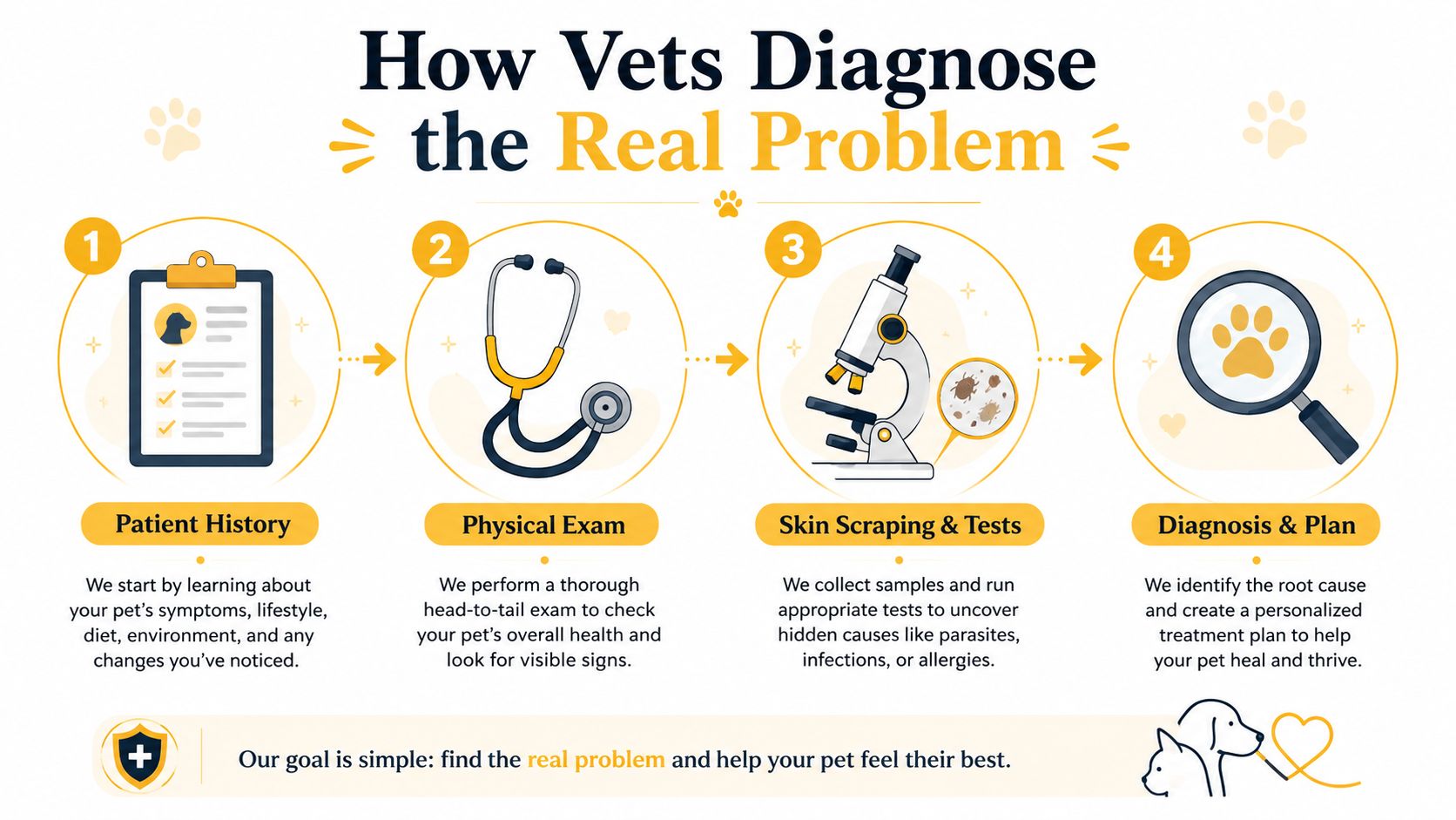 An infographic detailing the four-step veterinary process to diagnose dog flaky skin and hair loss issues.