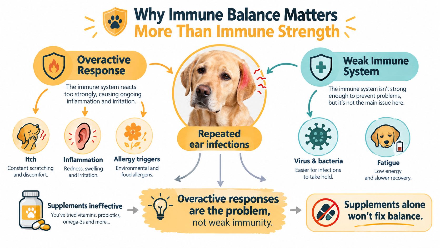 An infographic explaining that immune system balance is more important than strength for preventing chronic pet health issues.