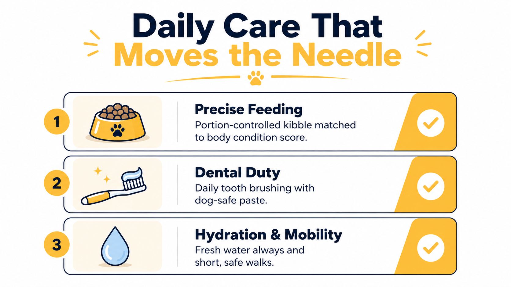 A helpful infographic outlining three essential daily care tips for maintaining the health of a dog.
