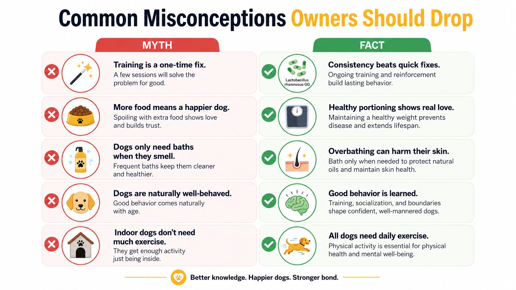 An infographic titled Common Misconceptions Owners Should Drop featuring five dog care myths and corresponding facts.