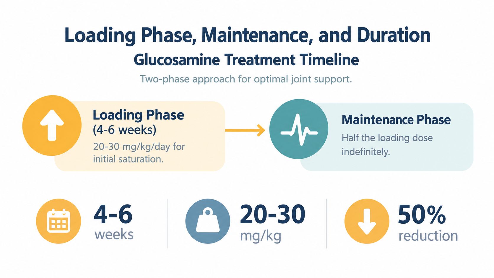 An infographic showing the two-phase glucosamine dosage timeline for dogs, including loading and maintenance phases.