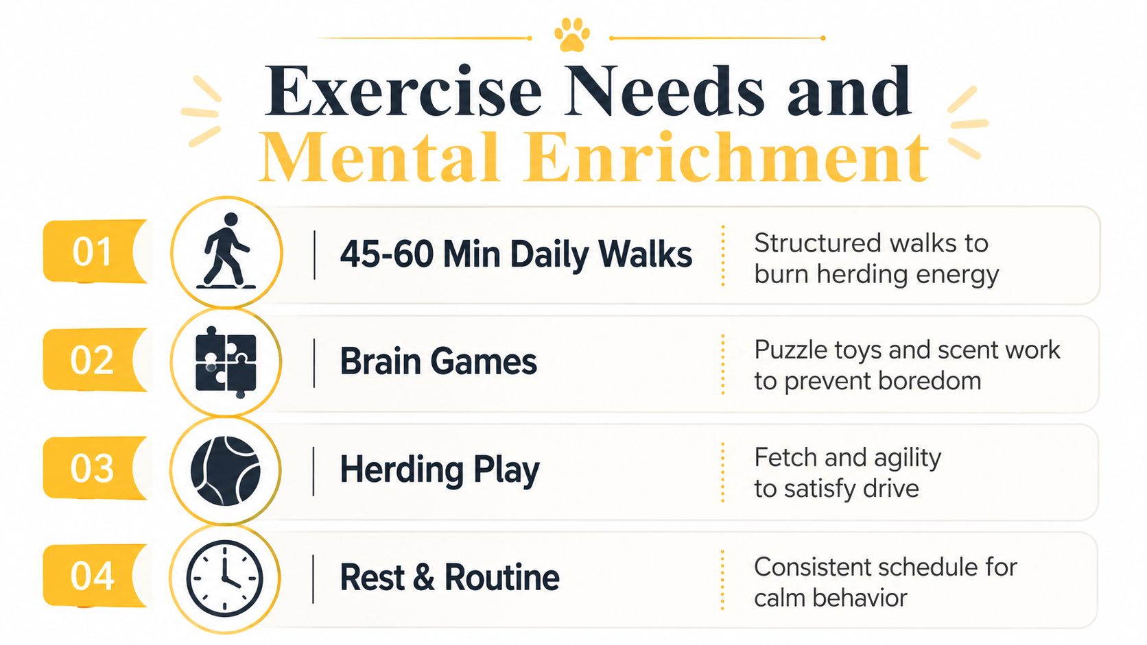 An infographic detailing exercise needs and mental enrichment tips for high-energy dog breeds like herding dogs.