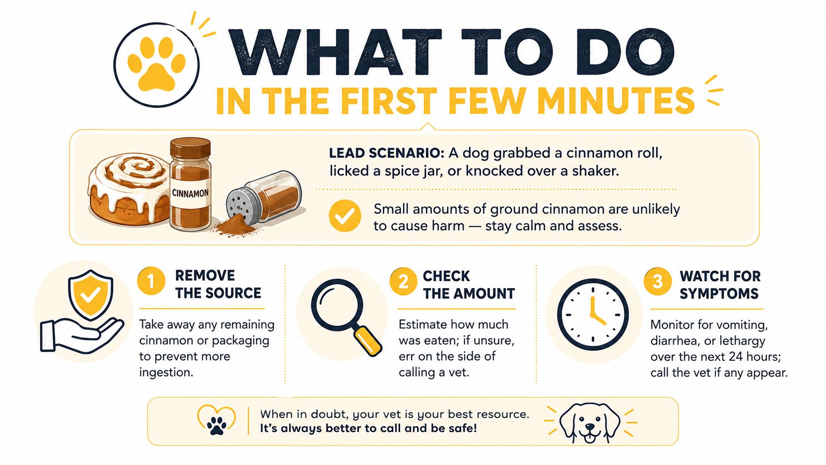 An infographic titled What To Do In The First Few Minutes showing steps if your dog eats cinnamon.