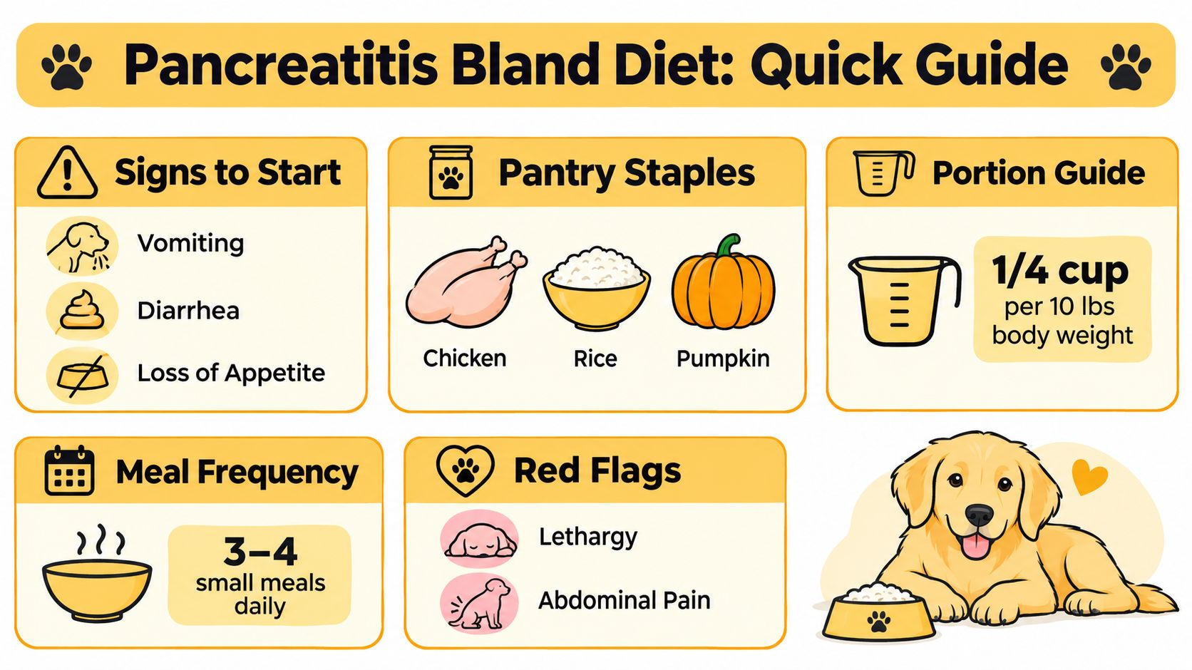 An infographic titled Pancreatitis Bland Diet for Dogs, displaying signs, pantry staples, portions, and meal frequency.