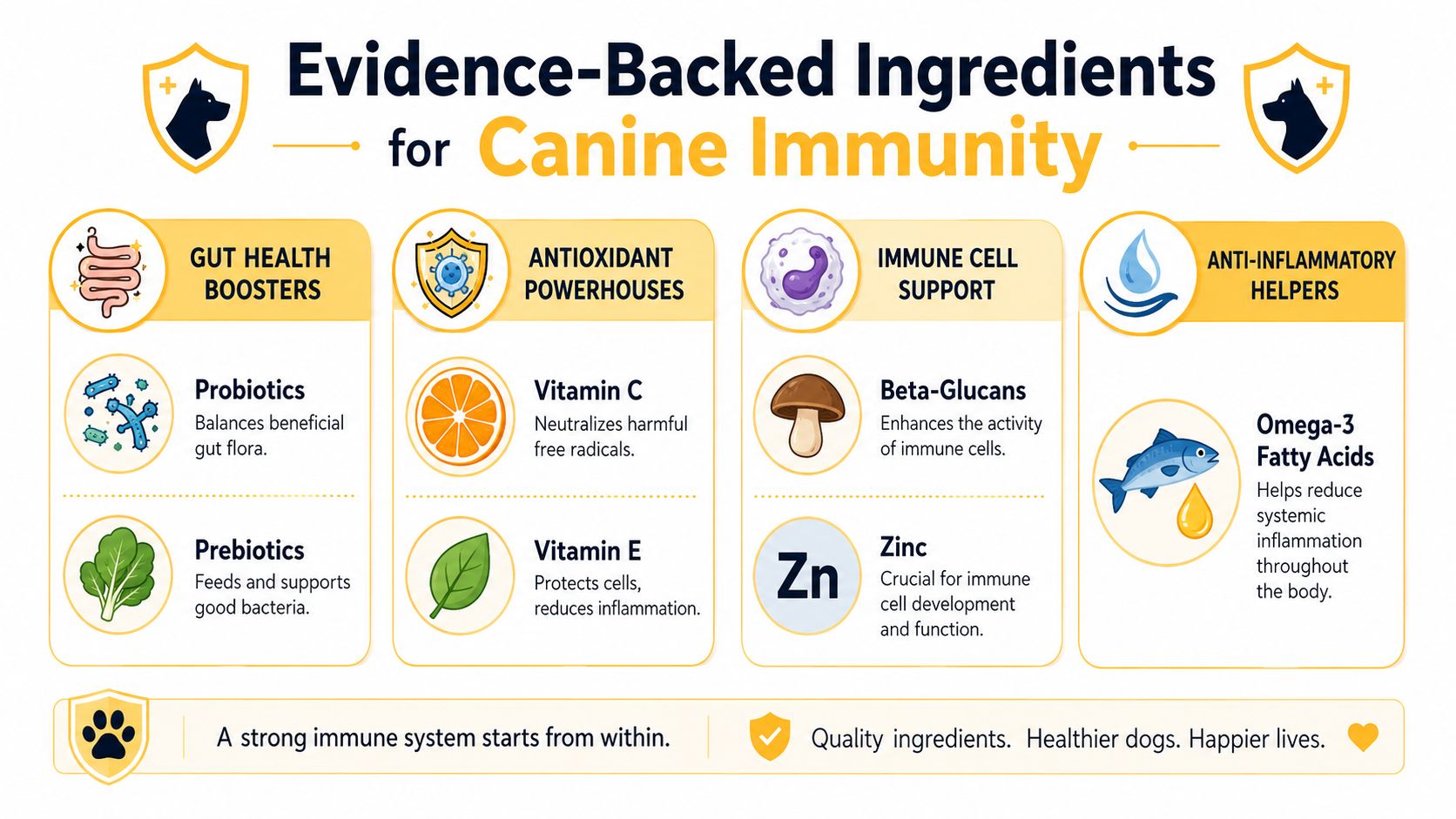 An infographic detailing evidence-backed ingredients that support and boost the immune system in dogs.