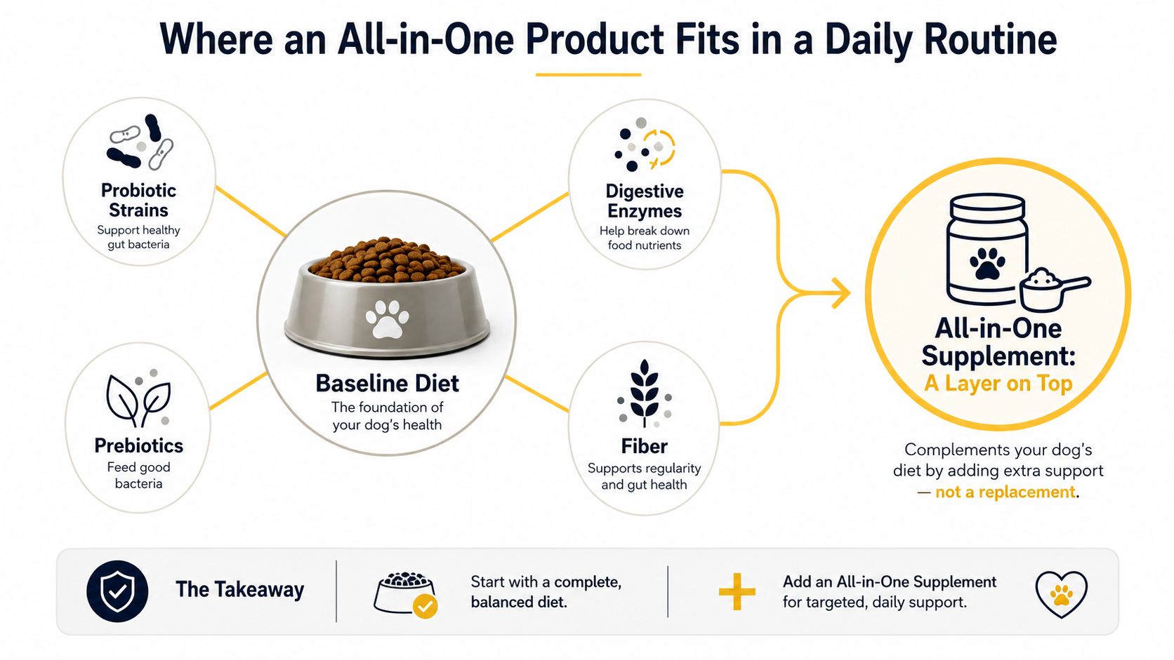 An infographic illustrating how an all-in-one supplement complements a dog's daily baseline diet for digestive health.