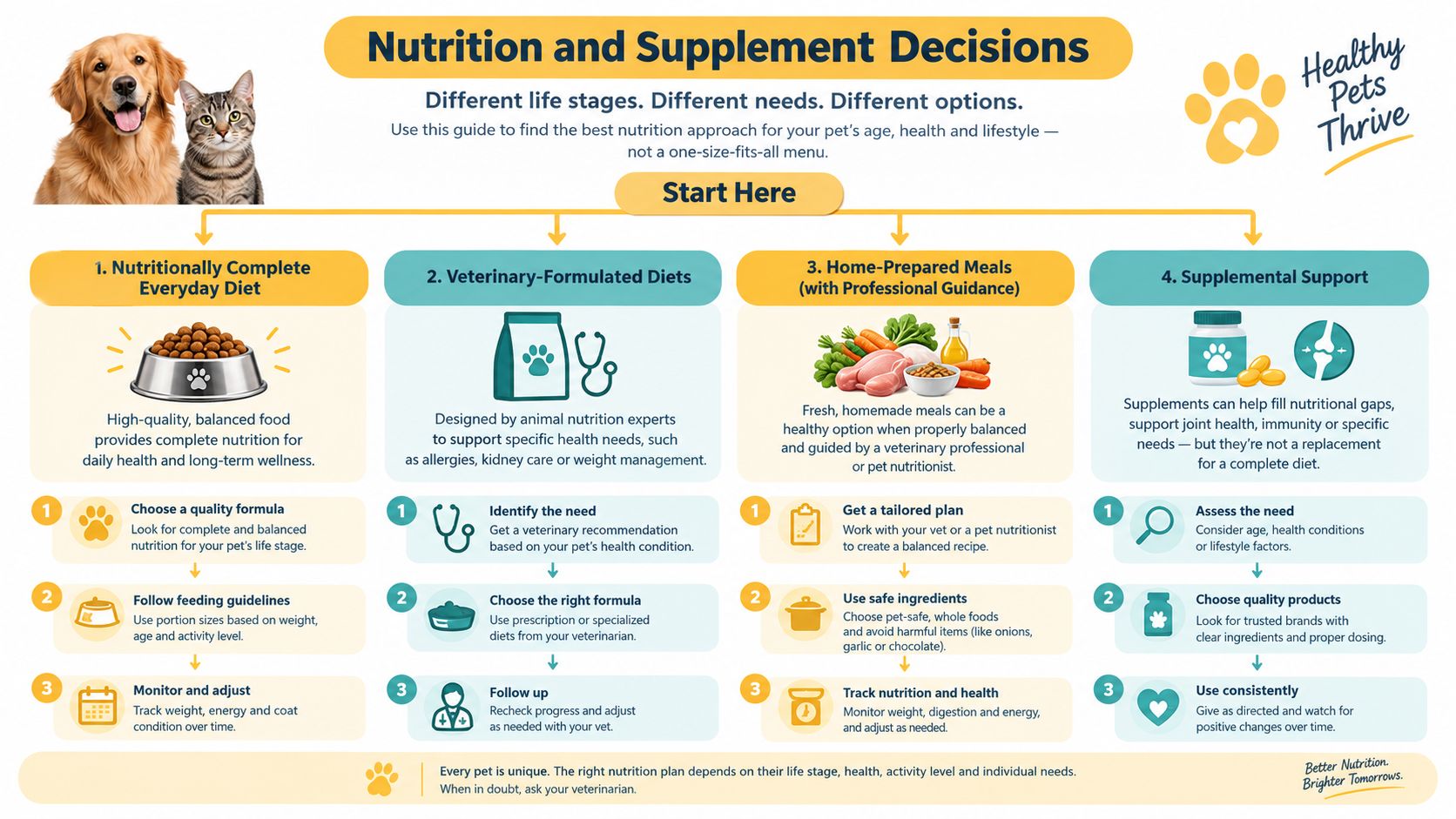 An infographic titled Nutrition and Supplement Decisions outlining four approaches for pet feeding and nutritional support.